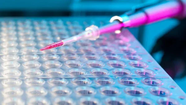 Biologia Molecular e PCR
