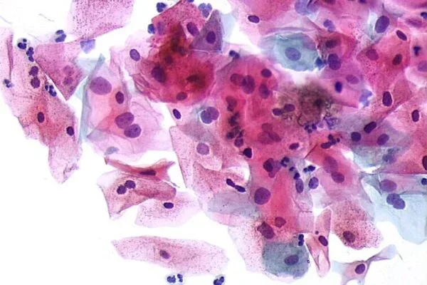 Médico em análise microscópica