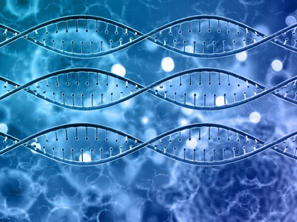 Paternidade e Parentesco